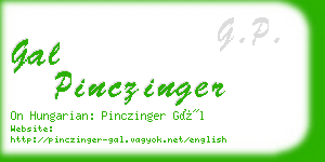 gal pinczinger business card